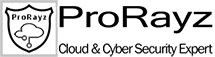Prorayz logo